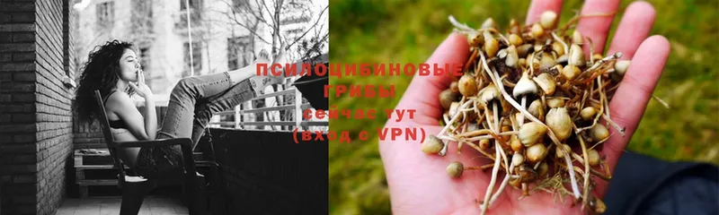 магазин продажи   гидра зеркало  Псилоцибиновые грибы Magic Shrooms  Алушта 